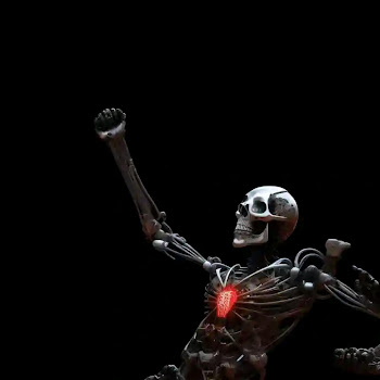 Ymusicrecords - Fein скачать mp3