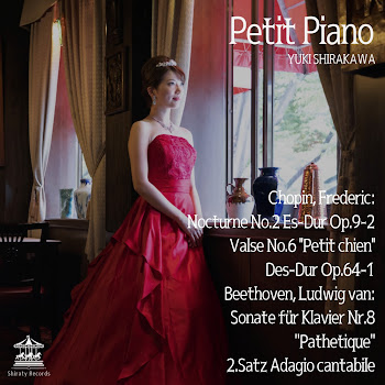 Yuki Shirakawa - Sonate Für Klavier Nr.8 "Pathetique" 2.Satz Adagio Cantabile скачать mp3