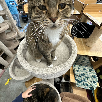 Zan - 2004 Ur Mall (Demo) скачать mp3