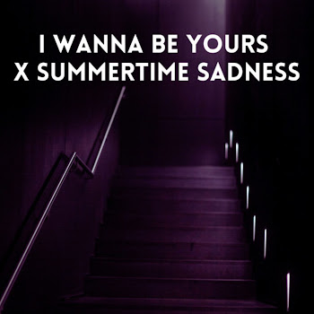 Zayan - I Wanna Be Yours X Summertime Sadness скачать mp3