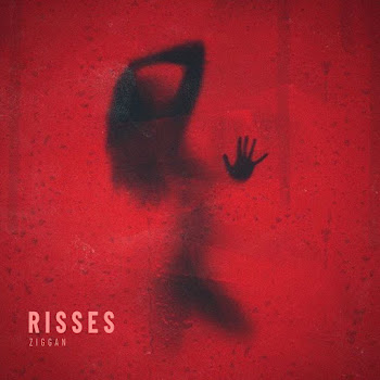 Ziggan - Risses скачать mp3